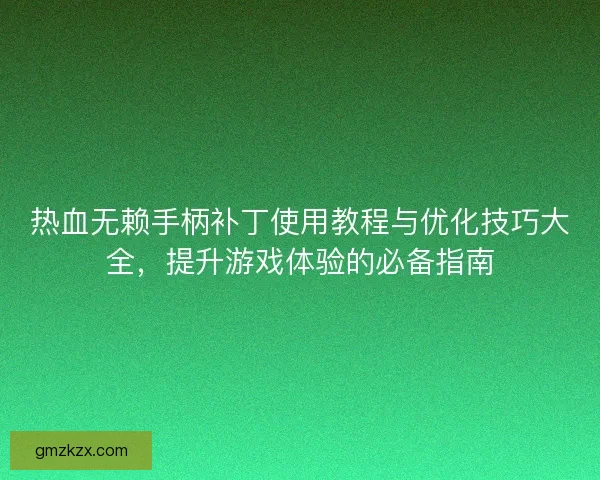 热血无赖手柄补丁使用教程与优化技巧大全，提升游戏体验的必备指南